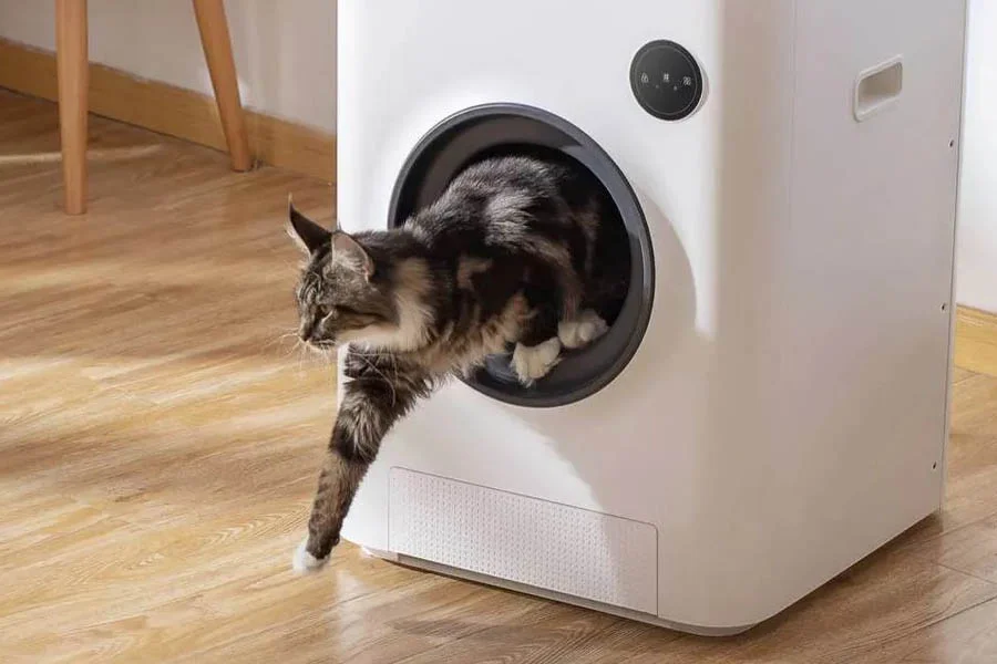 auto clean litter box